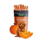 SM-PUMPKIN Pumpkin 70g