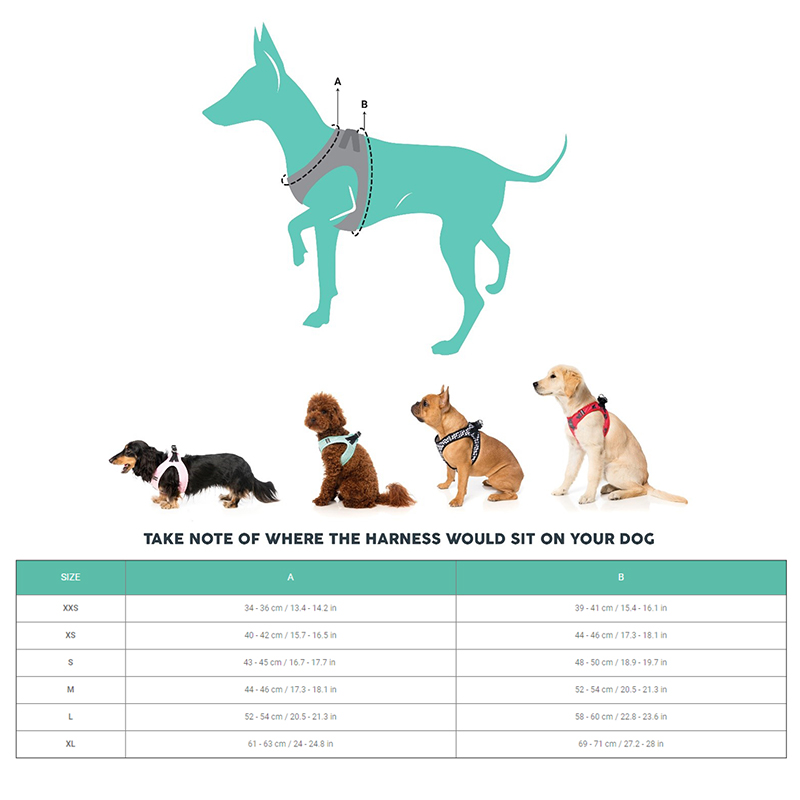 FuzzSizeChart Fuzzyard