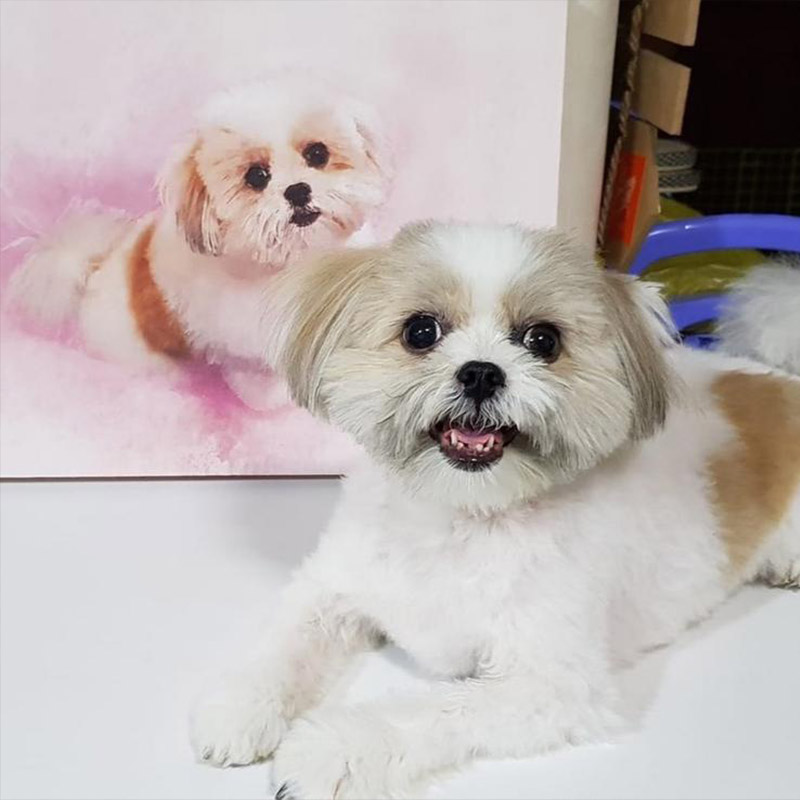 WATER-STANDARD - 6 - Amber Art Gallery Amber Art Gallery