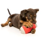 FuzzYard Can of Beer Plush Toys - Image 2