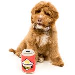 FuzzYard Can of Beer Plush Toys - Image 3