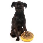 FuzzYard Bite Coin Plush Toys - Image 3