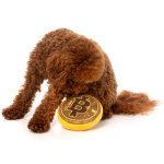 FuzzYard Bite Coin Plush Toys - Image 2