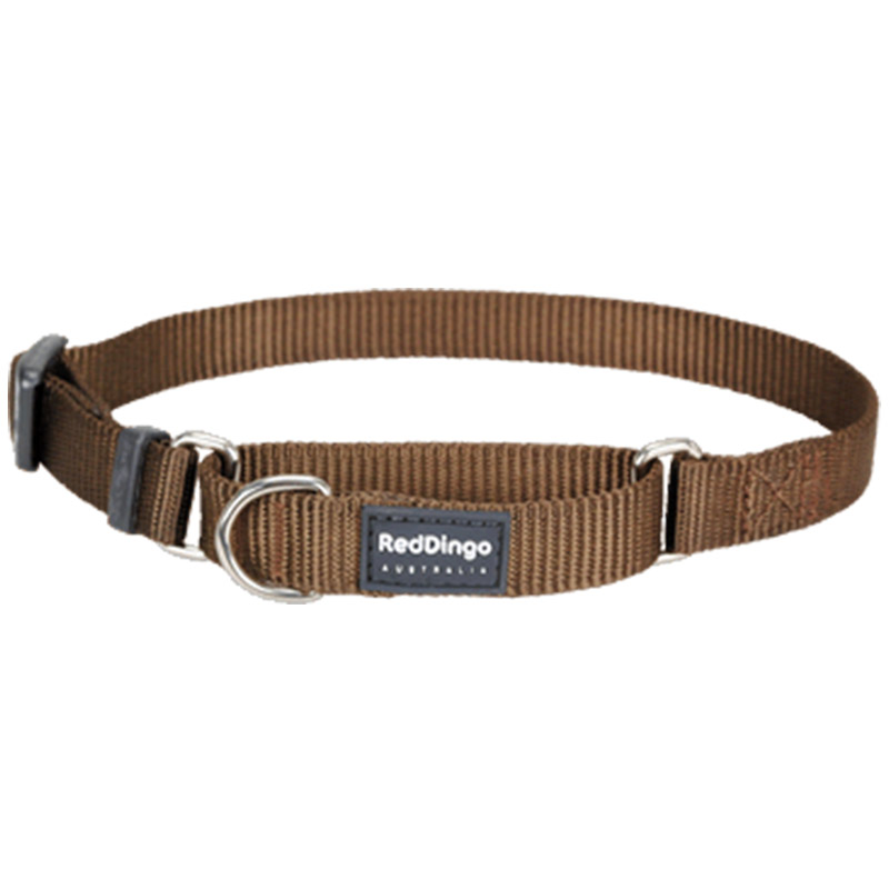 Brown Martingale Half Check Collar - Red Dingo - Silversky Red Dingo