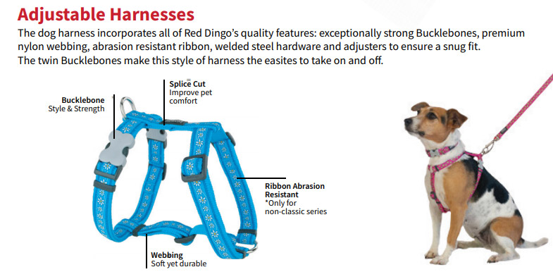 Classic Harness - Red Dingo - Silversky Red Dingo