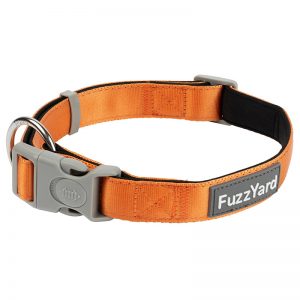 FuzzYard Crush Plain Collar
