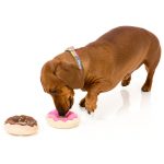 FuzzYard Donuts Plush Toys - Image 2