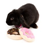 FuzzYard Donuts Plush Toys - Image 3