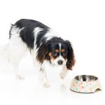 FuzzYard Fab Feeder Bowl - Image 2