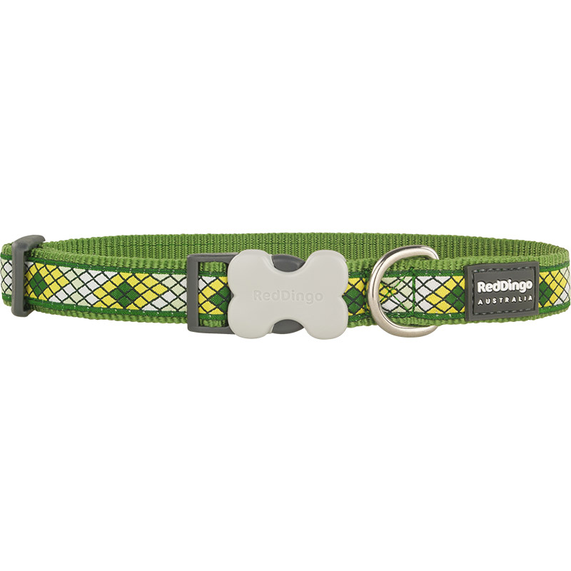 Green Bucklebone Monty Collar - Red Dingo - Silversky Red Dingo
