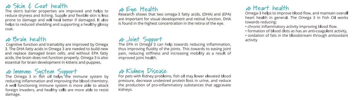 Hoki Fish Oil Pet 1 - Zeal - Stellar Pets Hoki Fish Oil Pet 1 - Zeal - Stellar Pets