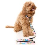 FuzzYard Jiggy Collar - Image 2