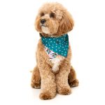 FuzzYard LL Cool Jaw$ Pet Bandana - Image 4