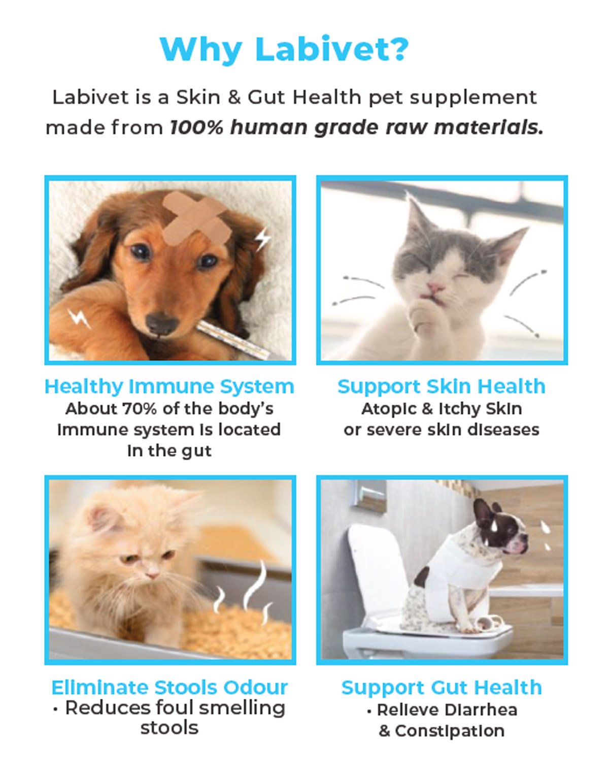 Labivet Probiotics - Labivet - Silversky Labivet