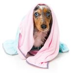 FuzzYard Dog Microfibre Drying Towel - Image 8