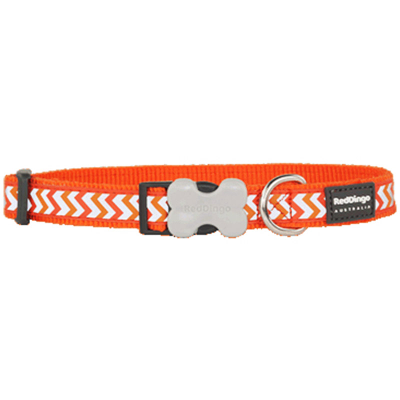 Orange Reflective Ziggy Collar - Red Dingo - Silversky Red Dingo