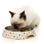 FuzzYard Sushi Delight Cat Bowl - Image 2