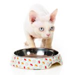 FuzzYard Sushi Delight Cat Bowl - Image 3