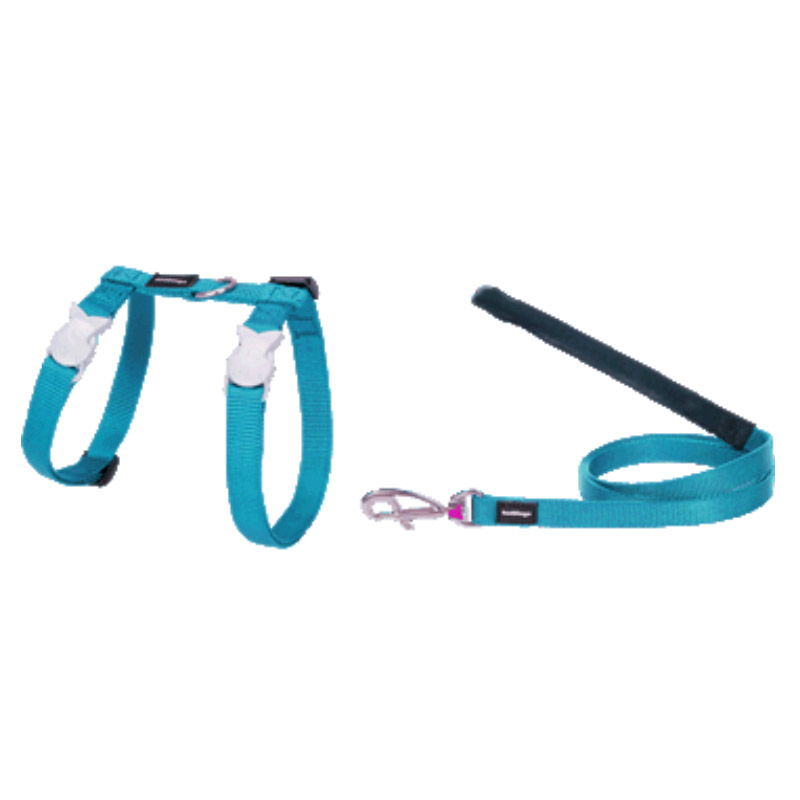 Turquoise Cat Combo Classic - Harness & Lead - Red Dingo - Silversky Red Dingo