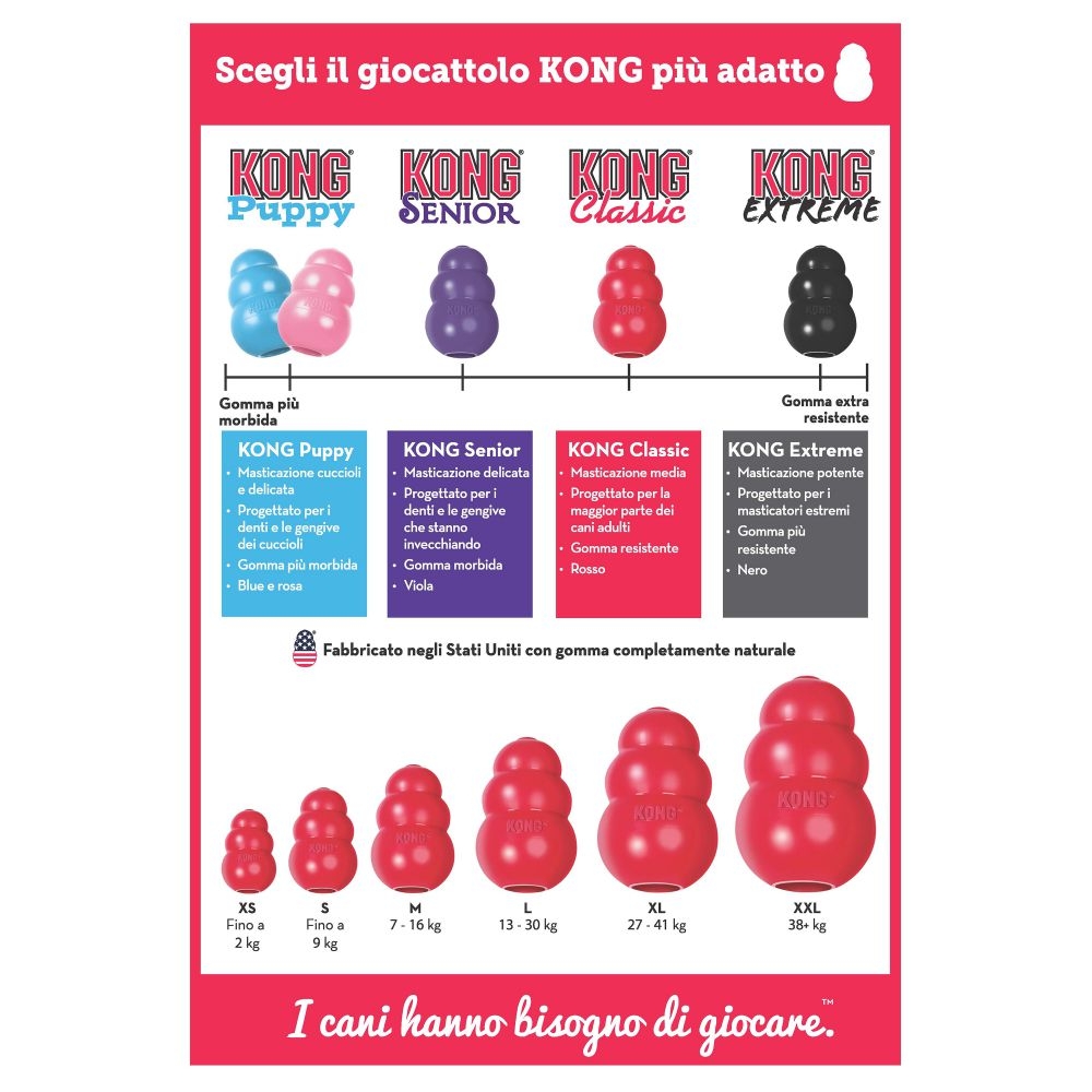 Chart - KONG - Roots Technologies Chart - KONG - Roots Technologies