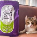 Stella & Chewy's Cat Raw Coated Kibble Cage Free Duck Recipe - Image 5