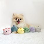 Hey Cuzzies Mochi Monsters Dog Toy (Full set) - Image 2