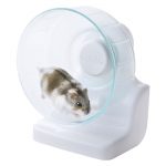 GX039088 Harmony Wheel DS14-1 - GEX - ReinBiotech