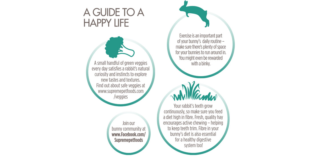 Science Selective Adult Rabbit (5) - Supreme - Reinbiotech