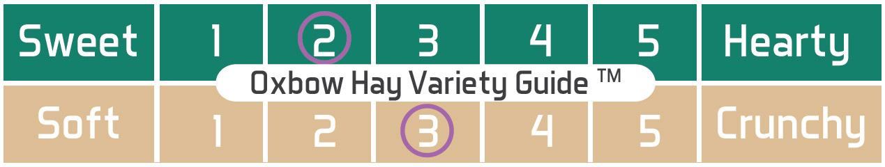 Botanical Hay - Oxbow - Yappy Pets Botanical Hay - Oxbow - Yappy Pets