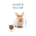 O9136 Loco Ball (3) - Oxbow - Yappy Pets