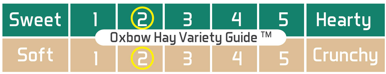 Orchard Grass - Oxbow - Yappy Pets Orchard Grass - Oxbow - Yappy Pets