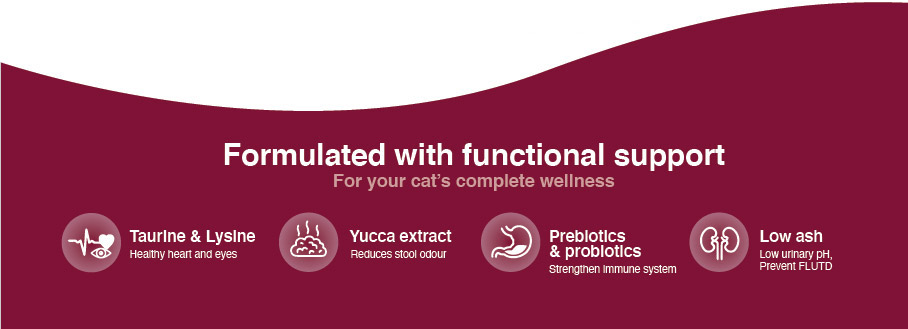 TopRation Cat Logo - Yappy Pets (4) TopRation Cat Logo - Yappy Pets (4)