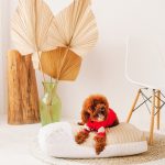 Ashley Cooling Dog Bed - Dream Castle