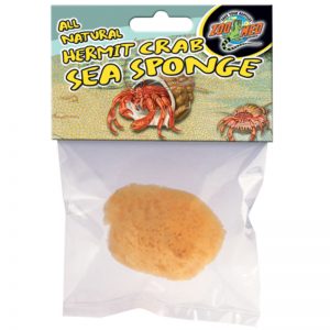 Hermit Crab Sea Sponge - Zoo Med