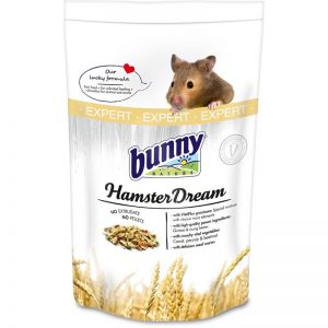 Bunny Nature Hamster Dream Expert