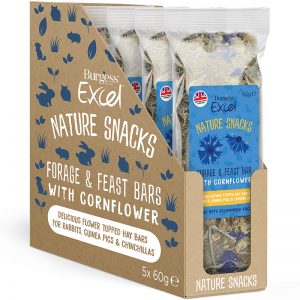 Burgess Excel Forage & Feast Hay Bar with Cornflower (60g)