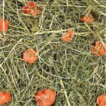 JR Farm Carrot Meadow (500g)