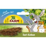 JR Farm Dari Cob (100g)