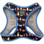 FuzzYard Bed Bugs Step-in Dog Harness