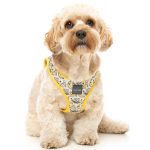 FuzzYard Go Bananas Step-in Dog Harness