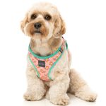 FuzzYard Two-Cans Step-in Dog Harness