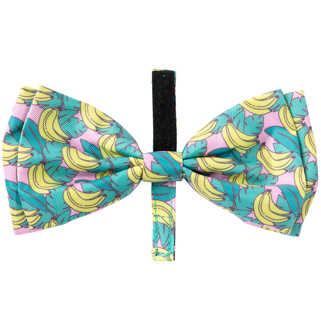 FY78843 FY78850 FuzzYard Bananarama Pet Bow Tie (2) FY78843 FY78850 FuzzYard Bananarama Pet Bow Tie