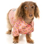 FuzzYard Two-Cans Button Up Shirt