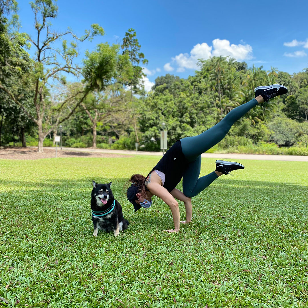 Paws & Pose Yoga with Your Pet (1) Paws & Pose: Yoga with Your Pet - Image 1