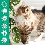 Tropiclean Cat Shampoo (12 fl. oz.) - Image 4