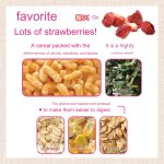 GX044204 GEX Rabbit Granola Strawberry Cereal Plus 150g - Reinbiotech