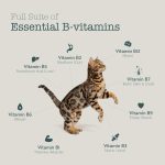 Boneve Cat Freeze-Dried Raw Prey - Image 5