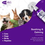 Leucillin Antiseptic Skincare