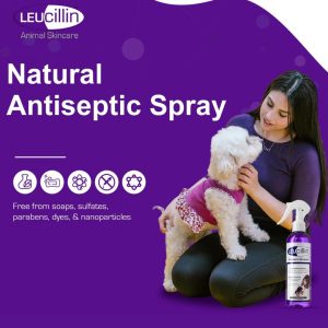 Leucillin Antiseptic Skincare