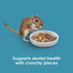 KT552144 Forti-Diet Pro Health Hamster Gerbil 3lb